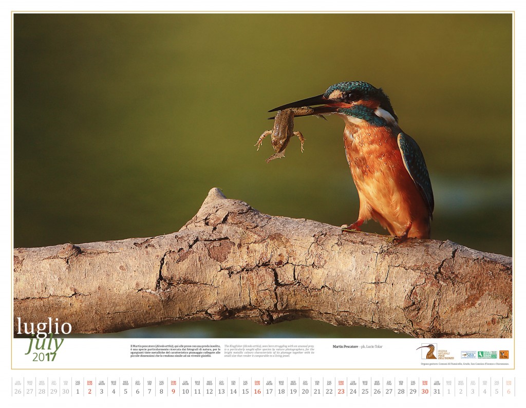 07_Calendario_2017_ Riserva_Naturale_Foce_Isonzo